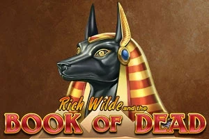 Book of Dead slot game screenshot